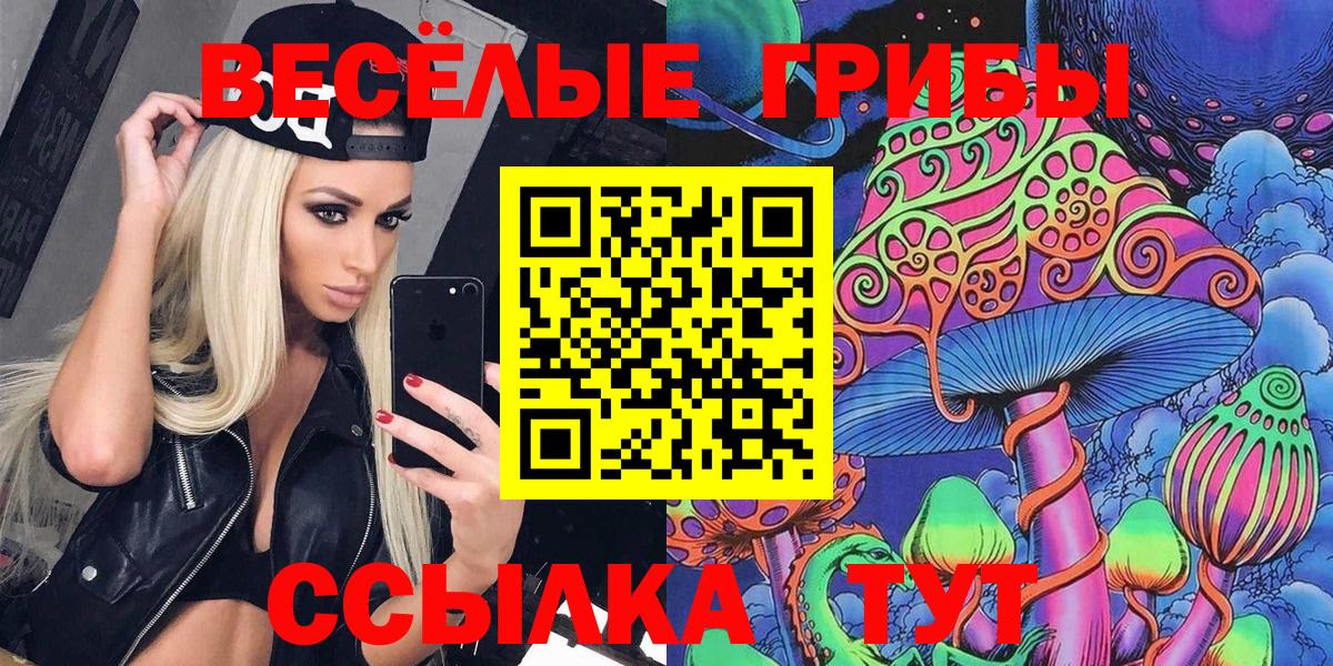 Псилоцибиновые грибы Psilocybine cubensis Ленинск-Кузнецкий