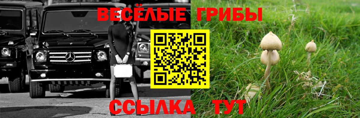 Ленинск-Кузнецкий  Галлюциногенные грибы мицелий  Вход с VPN 